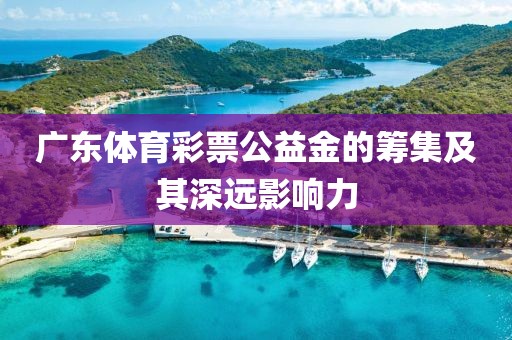 广东体育彩票公益金的筹集及其深远影响力