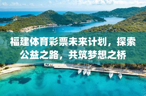 福建体育彩票未来计划，探索公益之路，共筑梦想之桥