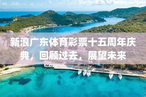 新浪广东体育彩票十五周年庆典，回顾过去，展望未来