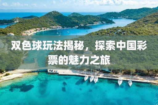 双色球玩法揭秘，探索中国彩票的魅力之旅